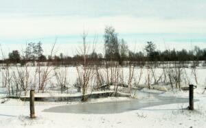 IJssel bij Hattem in de winter