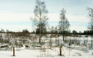 IJssel bij Hattem in de winter