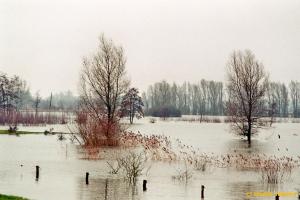 IJssel bij Hattem in de winter