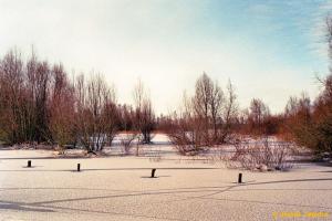 IJssel bij Hattem in de winter