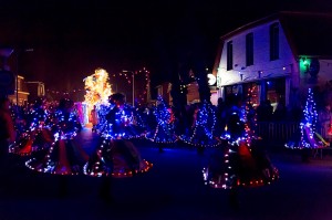 Carnaval Lemerlerveld 2016