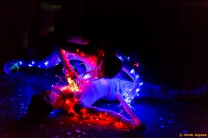 Carnaval Lemerlerveld 2016