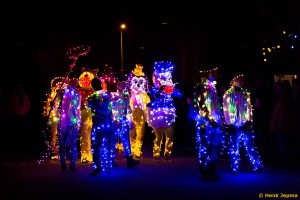 Carnaval Lemerlerveld 2016