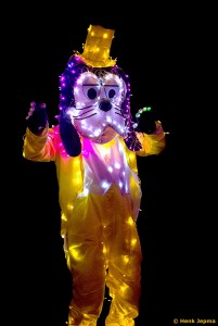 Carnaval Lemerlerveld 2016