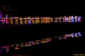 Carnaval Lemerlerveld 2016