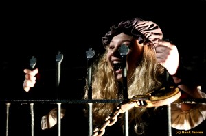 Kerst in Oud Kampen 2015