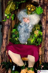 Kerst in Oud Kampen 2017