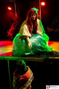 Kerst in Oud Kampen 2017