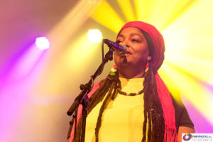 Donderdag Meppeldag 2019 - Rootman J and the ZIONYOUTH crew