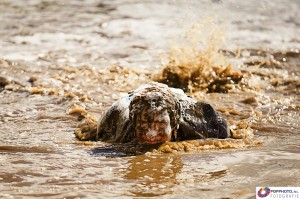 Mudrun Fun 2016 - Amersfoort   