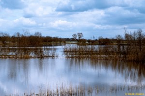 Struinwaard - Hoogwater            