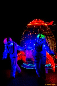 Carnaval Lemelerveld   