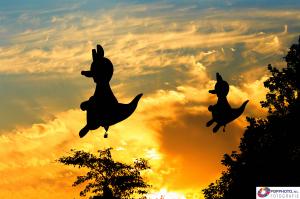 Ballonspektakel 2014