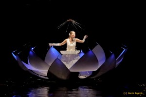 Zwolle Stadsfestival  2015 - Chanson d'eau by night