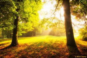 Mist in het Engelse Werk