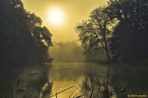 Mist in het Engelse Werk