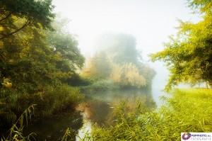 Mist in het Engelse Werk