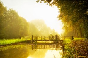 Mist in het Engelse Werk