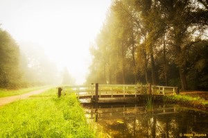 Mist in het Engelse Werk