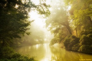 Mist in het Engelse Werk