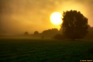 Mist in het Engelse Werk
