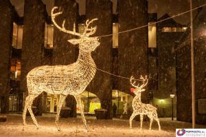 Sfeerverlichting Zwolle
