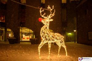 Sfeerverlichting Zwolle