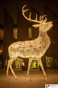 Sfeerverlichting Zwolle